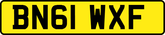 BN61WXF