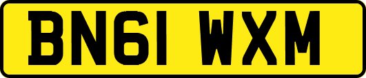 BN61WXM