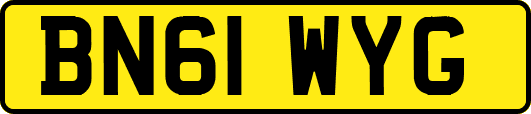 BN61WYG