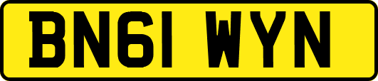 BN61WYN