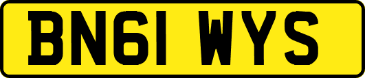 BN61WYS