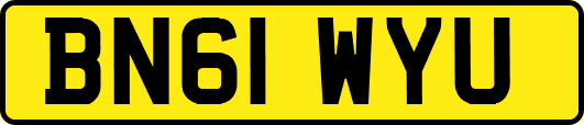 BN61WYU