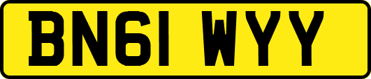 BN61WYY