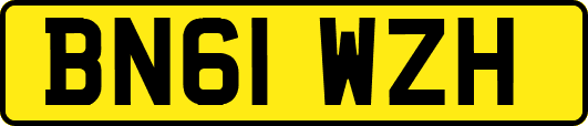 BN61WZH