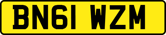 BN61WZM