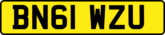 BN61WZU