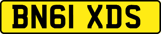 BN61XDS