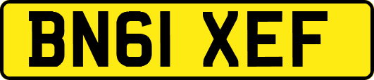 BN61XEF