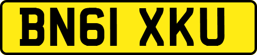 BN61XKU