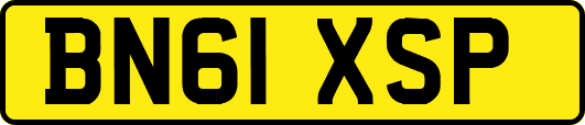 BN61XSP