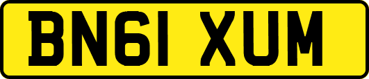 BN61XUM