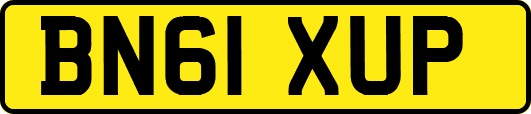 BN61XUP