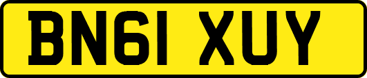BN61XUY