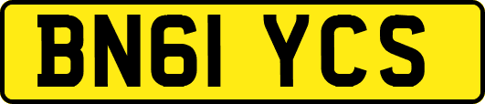 BN61YCS
