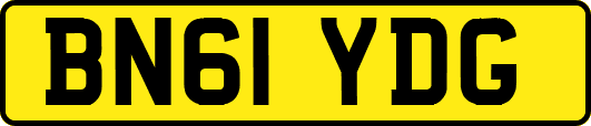 BN61YDG