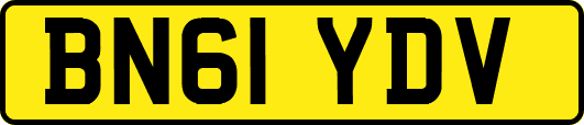 BN61YDV