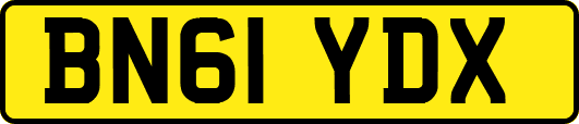 BN61YDX