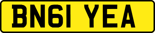 BN61YEA