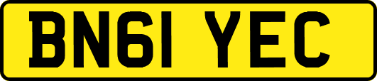 BN61YEC