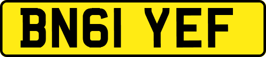 BN61YEF