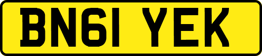 BN61YEK