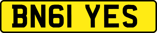 BN61YES