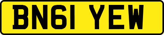 BN61YEW