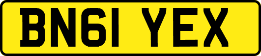 BN61YEX
