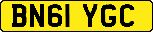 BN61YGC