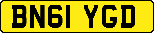 BN61YGD