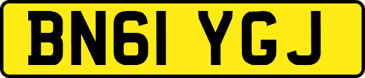 BN61YGJ