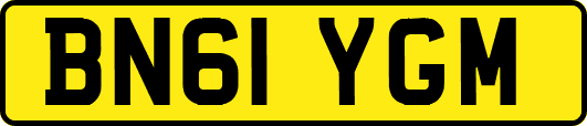 BN61YGM