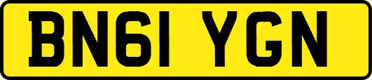 BN61YGN