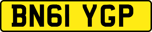 BN61YGP