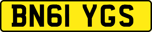 BN61YGS
