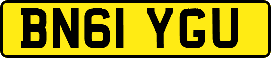 BN61YGU