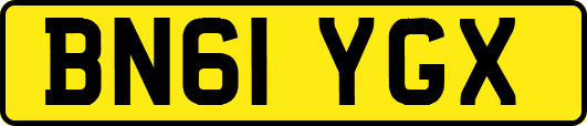 BN61YGX