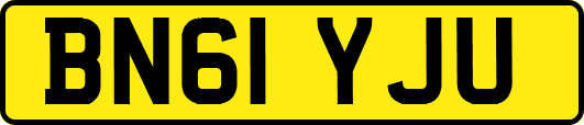 BN61YJU