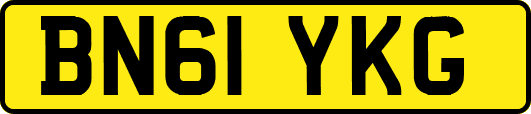 BN61YKG