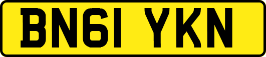 BN61YKN