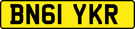 BN61YKR