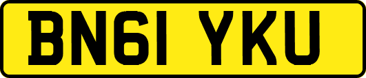 BN61YKU