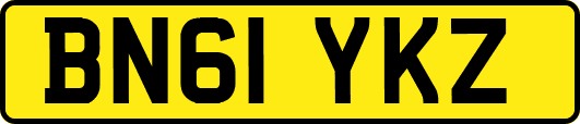 BN61YKZ