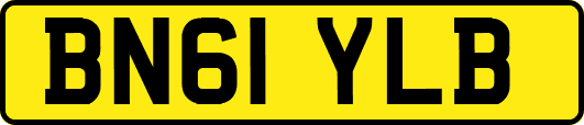 BN61YLB