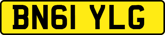 BN61YLG