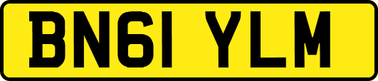 BN61YLM