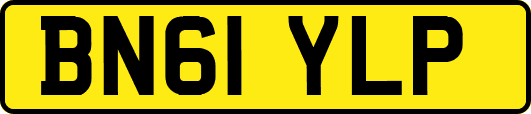 BN61YLP