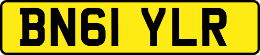 BN61YLR