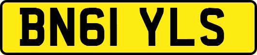 BN61YLS
