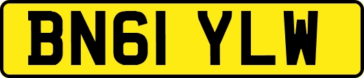 BN61YLW